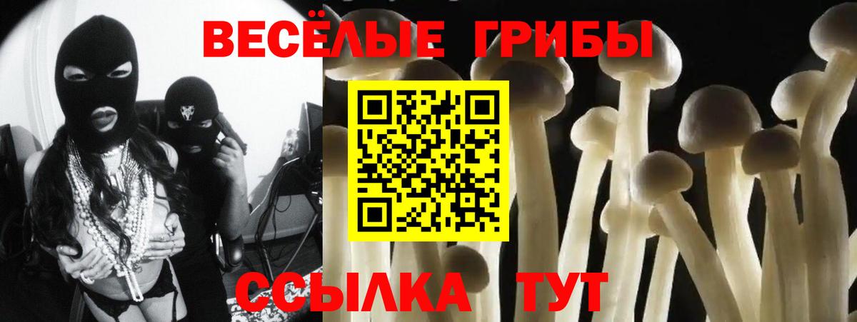 Галлюциногенные грибы мухоморы Ярославль